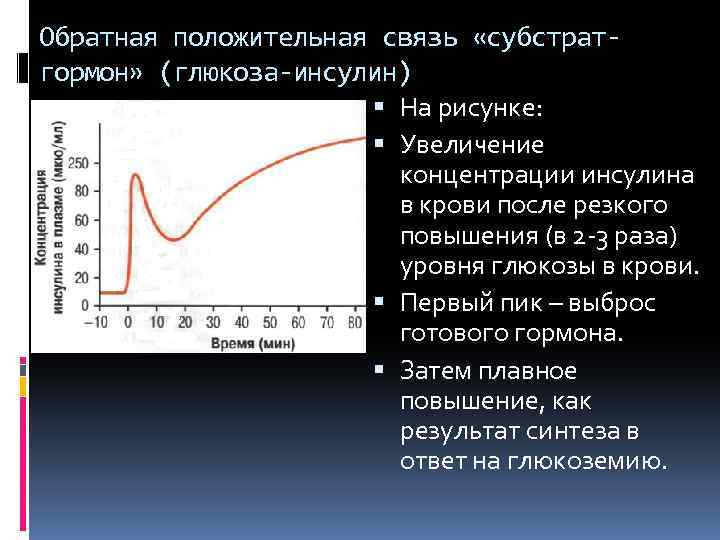 Обратная положительная связь «субстратгормон» (глюкоза-инсулин) На рисунке: Увеличение концентрации инсулина в крови после резкого