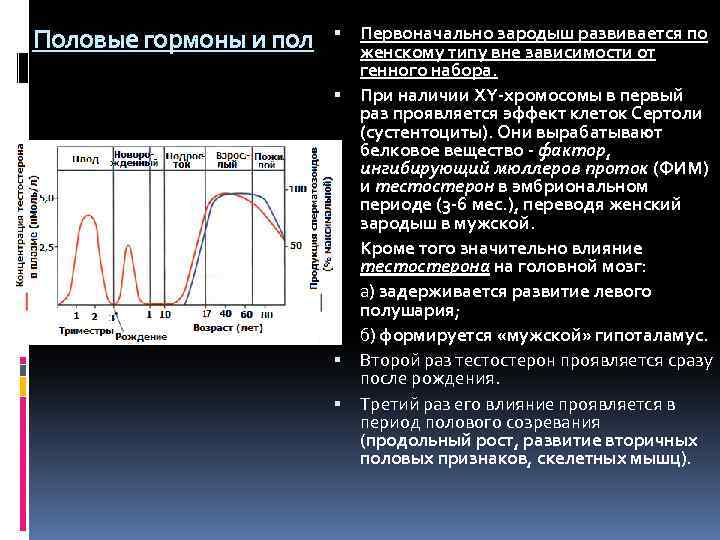 Половые гормоны и пол Первоначально зародыш развивается по женскому типу вне зависимости от генного