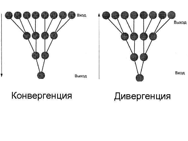 Конвергенция Дивергенция 