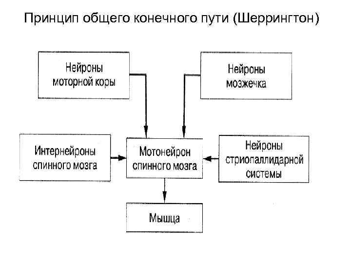 В общем в конечном