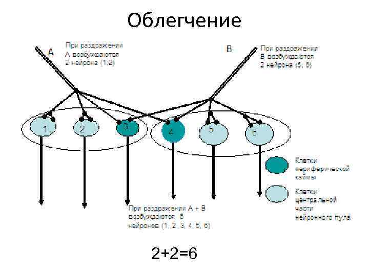 Облегчение 2+2=6 