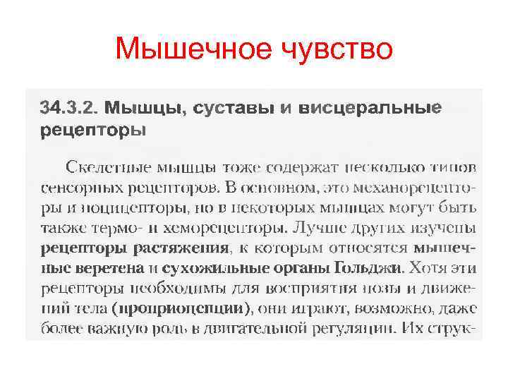 Презентация по биологии 8 класс орган равновесия мышечное и кожное чувство