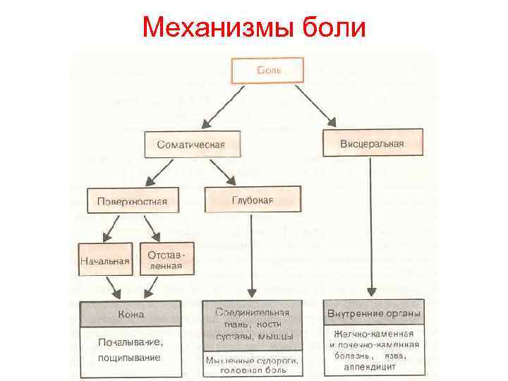 Представление о больном схема