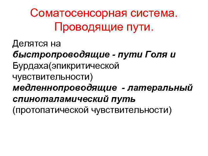 Соматосенсорный анализатор общий план строения и функции проводящие пути