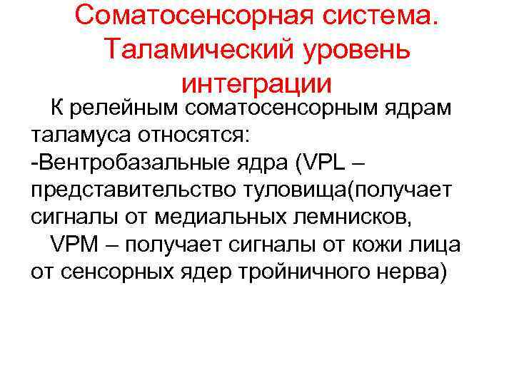 Соматосенсорная система. Таламический уровень интеграции К релейным соматосенсорным ядрам таламуса относятся: -Вентробазальные ядра (VPL