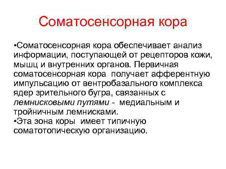 Соматосенсорная температура. Соматосенсорная зона коры головного мозга. Соматосенсорная область 1 и 2. Вторая Соматосенсорная зона коры.