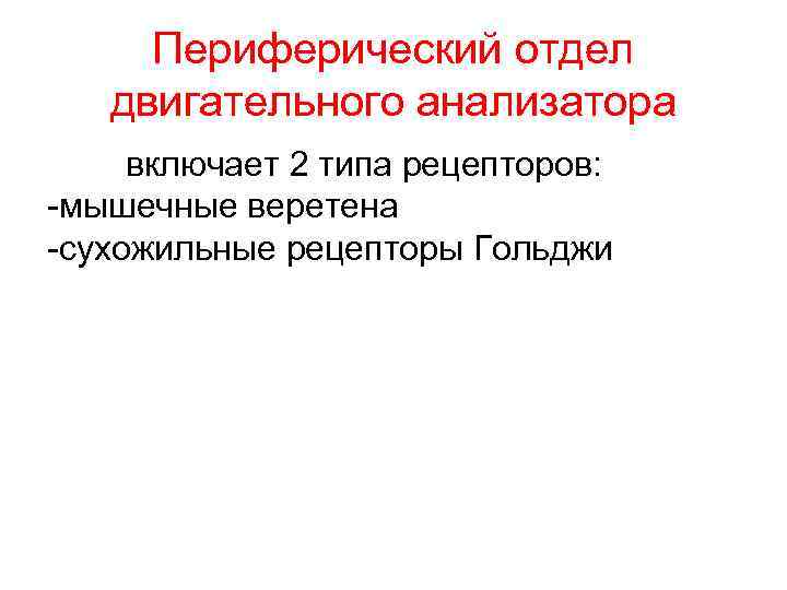 Периферический отдел двигательного анализатора включает 2 типа рецепторов: -мышечные веретена -сухожильные рецепторы Гольджи 