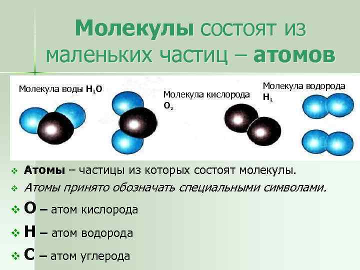 Молекулы состоят из маленьких частиц – атомов Молекула воды Н 2 О Молекула кислорода
