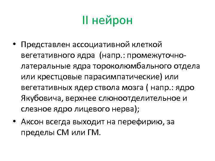 II нейрон • Представлен ассоциативной клеткой вегетативного ядра (напр. : промежуточнолатеральные ядра тороколюмбального отдела