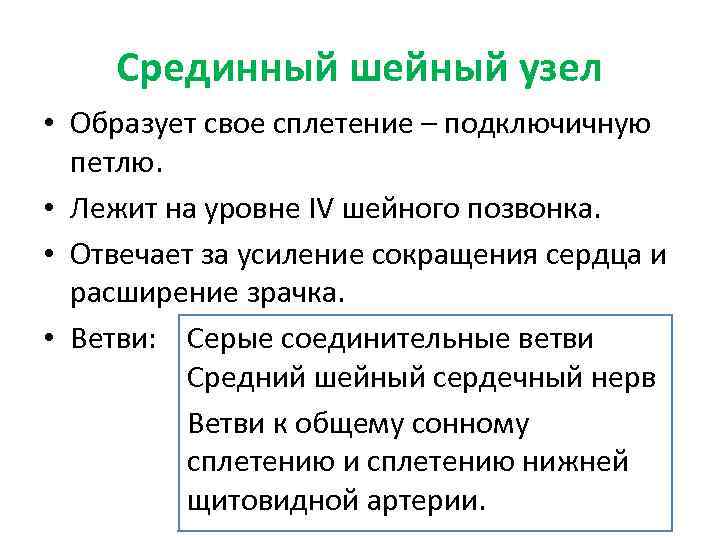 Срединный шейный узел • Образует свое сплетение – подключичную петлю. • Лежит на уровне