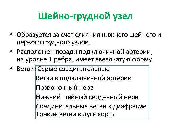 Шейно-грудной узел • Образуется за счет слияния нижнего шейного и первого грудного узлов. •