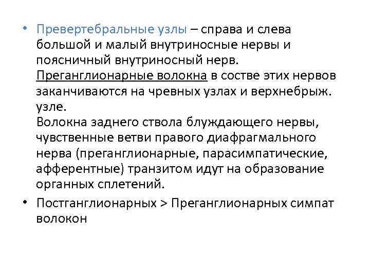  • Превертебральные узлы – справа и слева большой и малый внутриносные нервы и