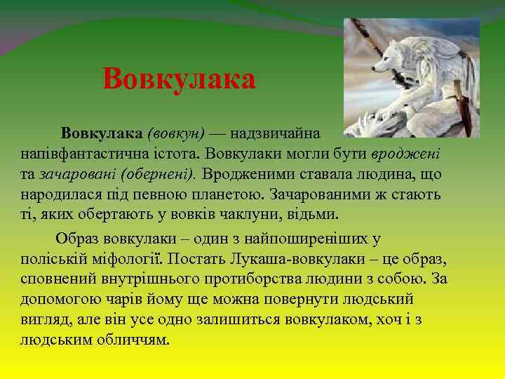 Вовкулака (вовкун) — надзвичайна напівфантастична істота. Вовкулаки могли бути вроджені та зачаровані (обернені). Вродженими