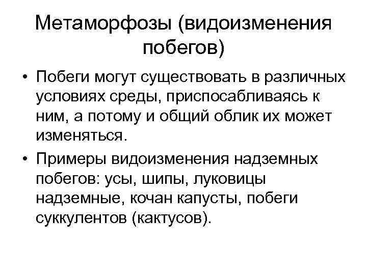 Метаморфозы (видоизменения побегов) • Побеги могут существовать в различных условиях среды, приспосабливаясь к ним,