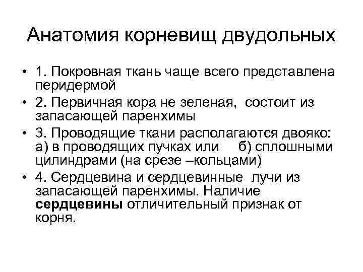 Анатомия корневищ двудольных • 1. Покровная ткань чаще всего представлена перидермой • 2. Первичная