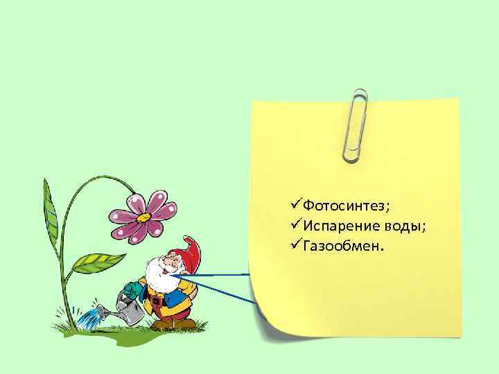üФотосинтез; üИспарение воды; Лист Газообмен. побега. ü– это часть Какова роль листьев в жизни