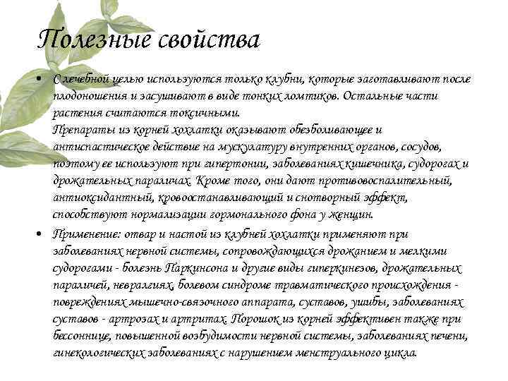 Полезные свойства • С лечебной целью используются только клубни, которые заготавливают после плодоношения и