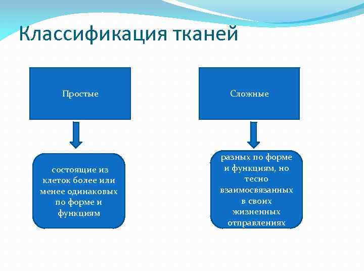 Классификация тканей презентация