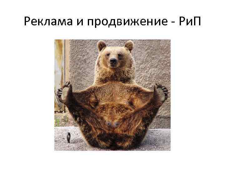 Реклама и продвижение - Ри. П 
