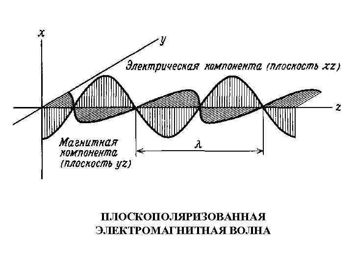 ПЛОСКОПОЛЯРИЗОВАННАЯ ЭЛЕКТРОМАГНИТНАЯ ВОЛНА 