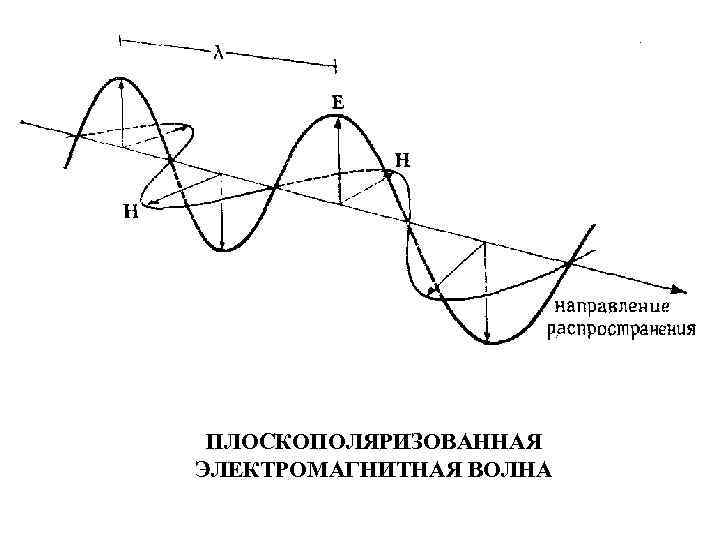 ПЛОСКОПОЛЯРИЗОВАННАЯ ЭЛЕКТРОМАГНИТНАЯ ВОЛНА 
