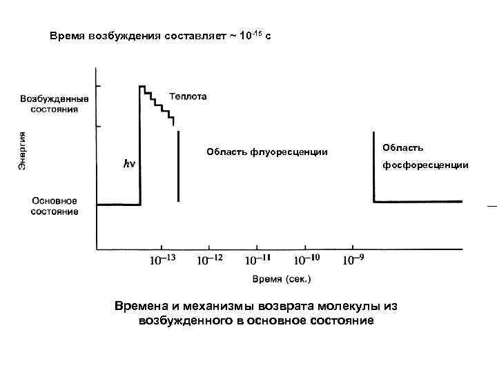 Время возбуждения составляет ~ 10 -15 c Область флуоресценции Область фосфоресценции Времена и механизмы