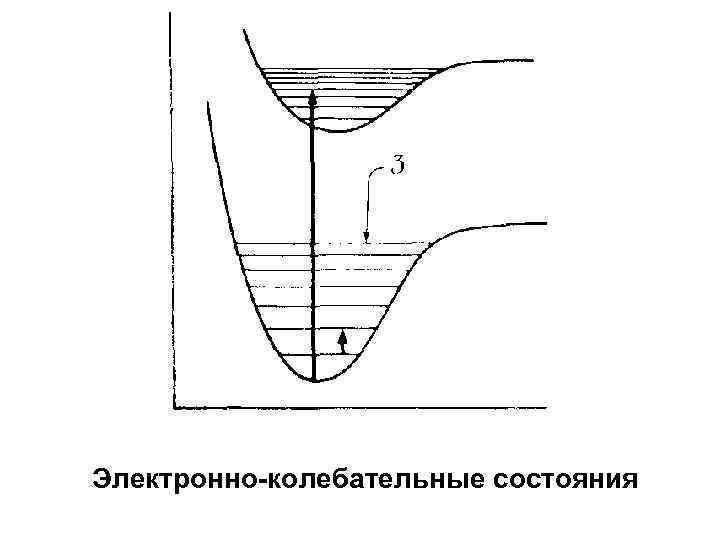Электронно-колебательные состояния 