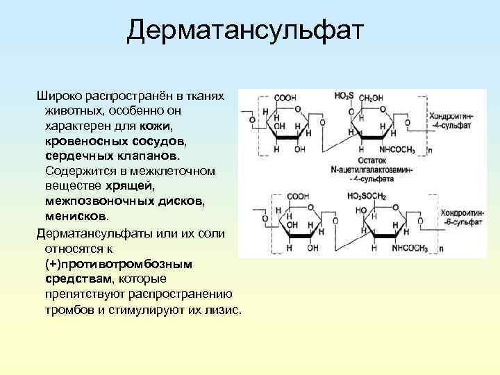 Дерматансульфат Широко распространён в тканях животных, особенно он характерен для кожи, кровеносных сосудов, сердечных