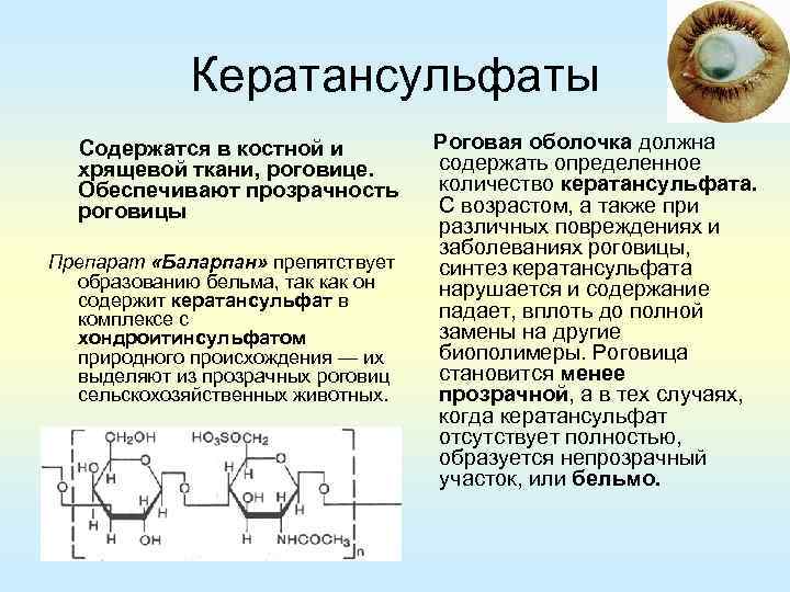 Полисахариды биохимия презентация