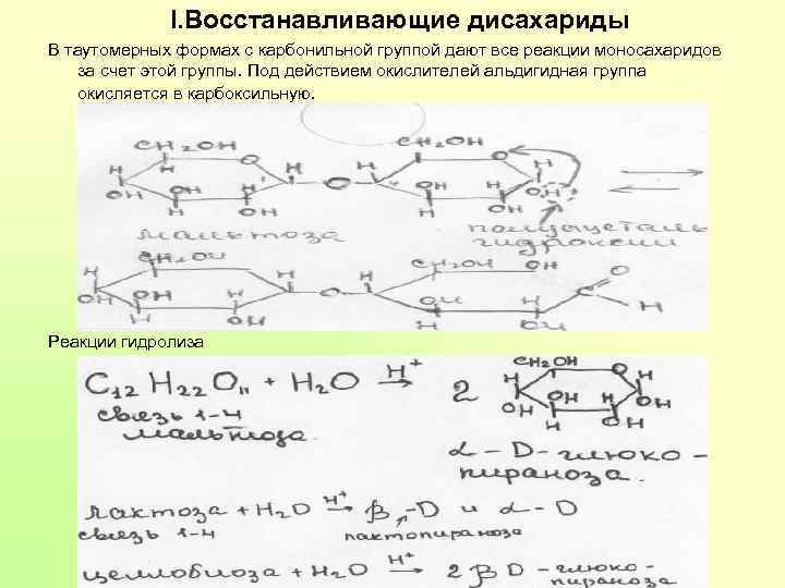 I. Восстанавливающие дисахариды В таутомерных формах с карбонильной группой дают все реакции моносахаридов за