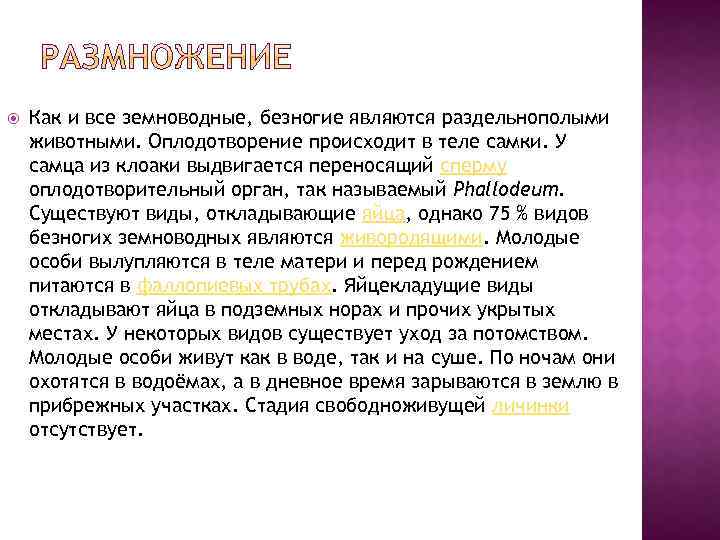  Как и все земноводные, безногие являются раздельнополыми животными. Оплодотворение происходит в теле самки.