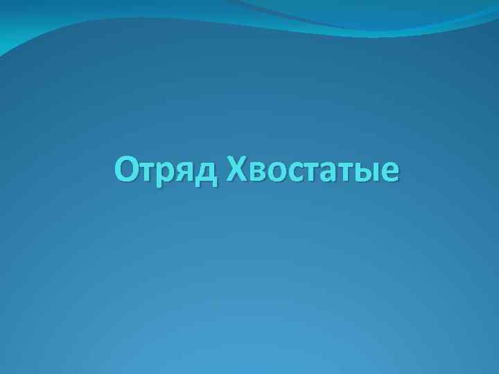 Отряд Хвостатые 