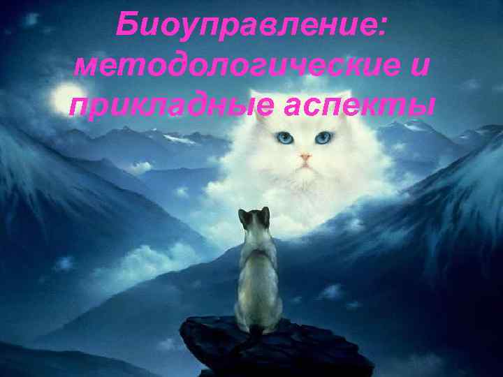 Биоуправление: методологические и прикладные аспекты 