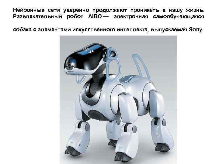 Нейронные сети уверенно продолжают проникать в нашу жизнь. Развлекательный робот AIBO — электронная самообучающаяся