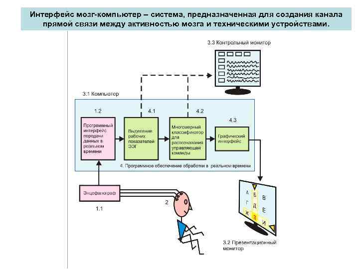 Интерфейс мозг-компьютер – система, предназначенная для создания канала прямой связи между активностью мозга и