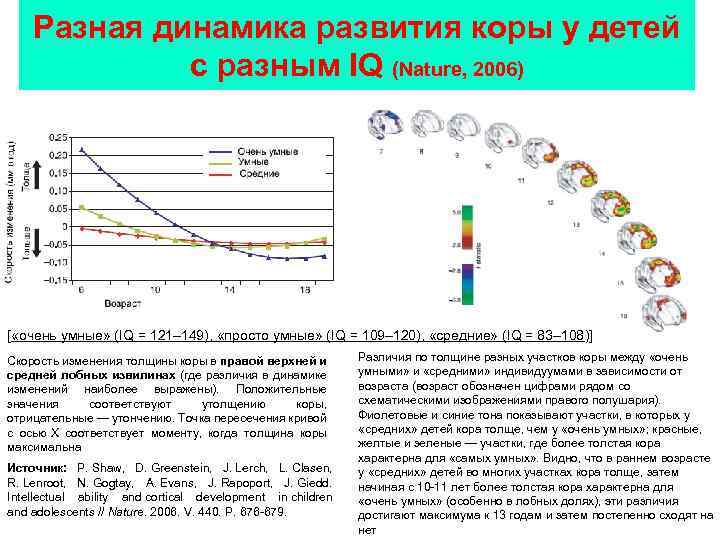 Разная динамика развития коры у детей с разным IQ (Nature, 2006) [ «очень умные»