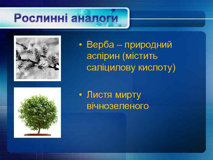 Рослинні аналоги • Верба – природний аспірин (містить саліцилову кислоту) • Листя мирту вічнозеленого