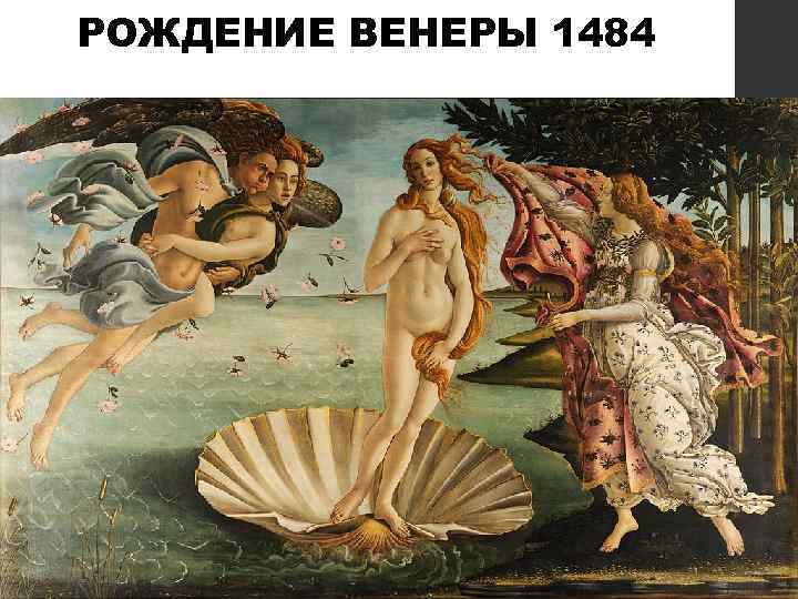 РОЖДЕНИЕ ВЕНЕРЫ 1484 