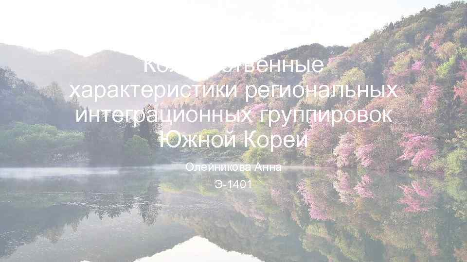 Количественные характеристики региональных интеграционных группировок Южной Кореи Олейникова Анна Э-1401 
