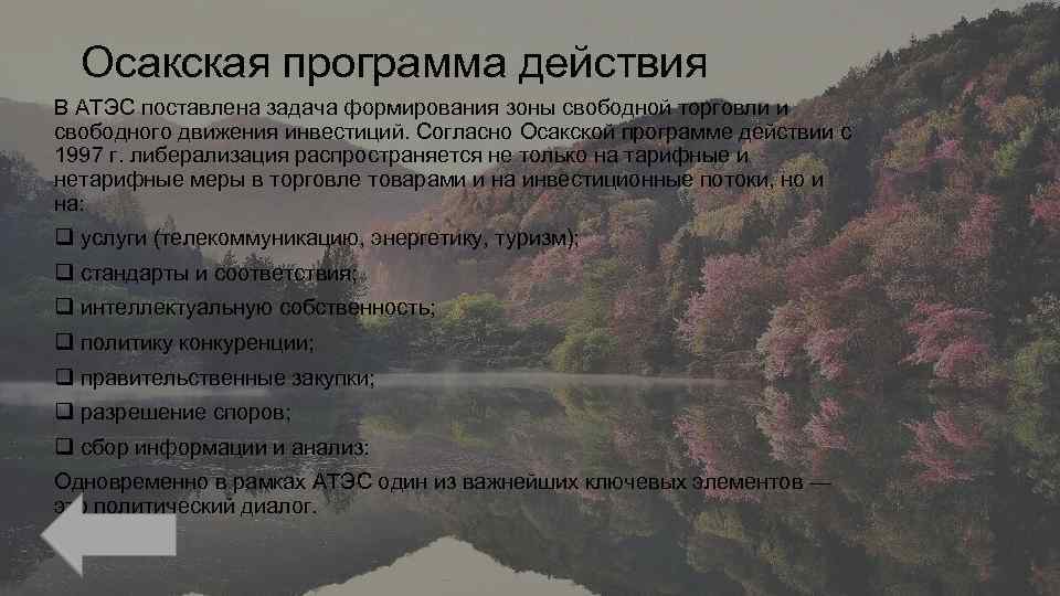 Осакская программа действия В АТЭС поставлена задача формирования зоны свободной торговли и свободного движения