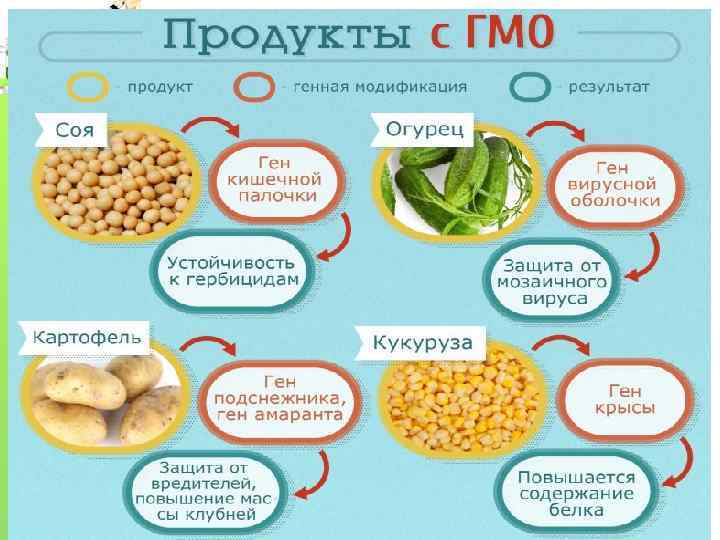 Генная инженерия. 