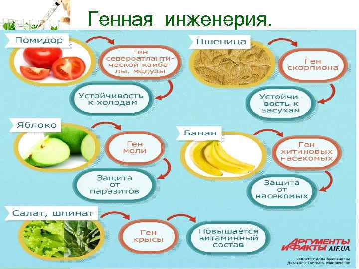 Генная инженерия. 