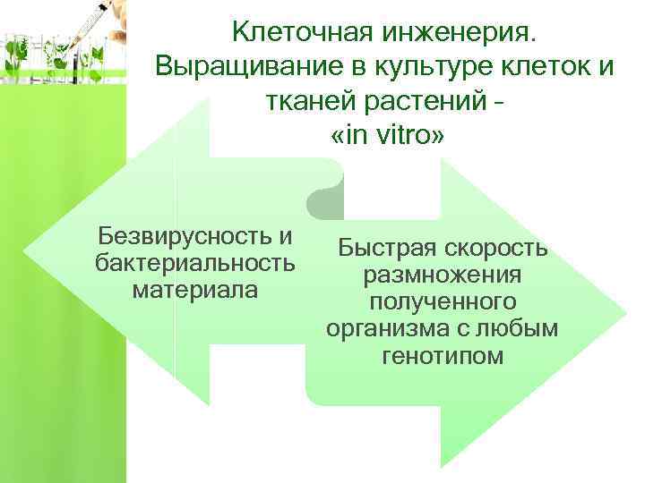 Клеточная инженерия. Выращивание в культуре клеток и тканей растений – «in vitro» Безвирусность и