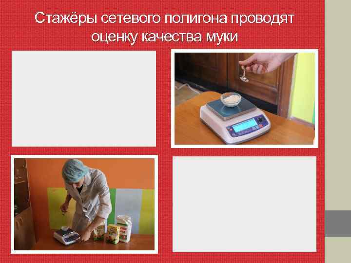 Стажёры сетевого полигона проводят оценку качества муки 