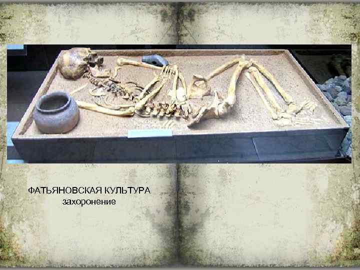 ФАТЬЯНОВСКАЯ КУЛЬТУРА захоронение 