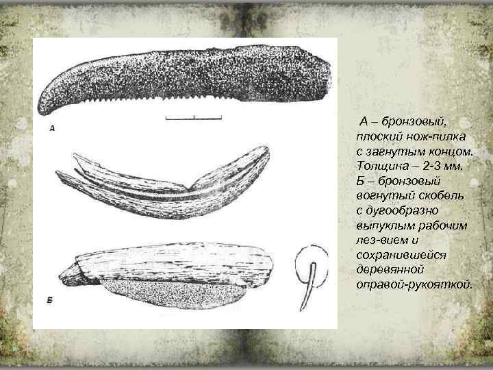 А – бронзовый, плоский нож-пилка с загнутым концом. Толщина – 2 -3 мм. Б