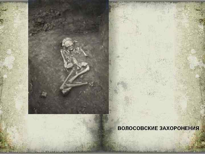 ВОЛОСОВСКИЕ ЗАХОРОНЕНИЯ 