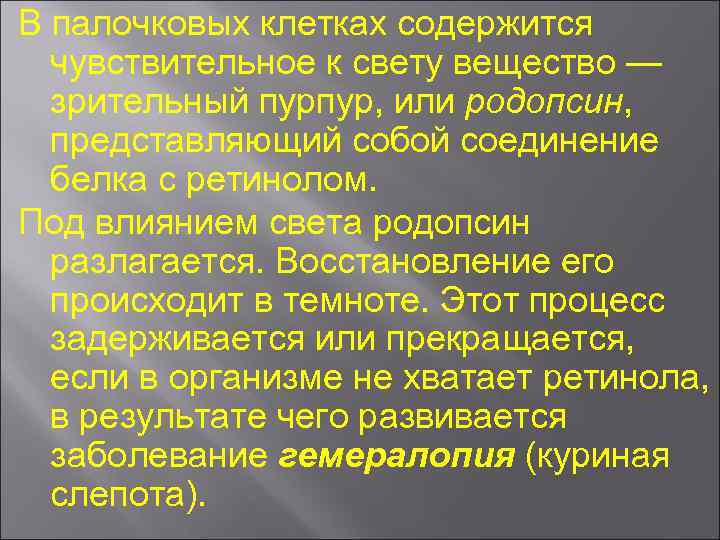 В палочковых клетках содержится чувствительное к свету вещество — зрительный пурпур, или родопсин, представляющий