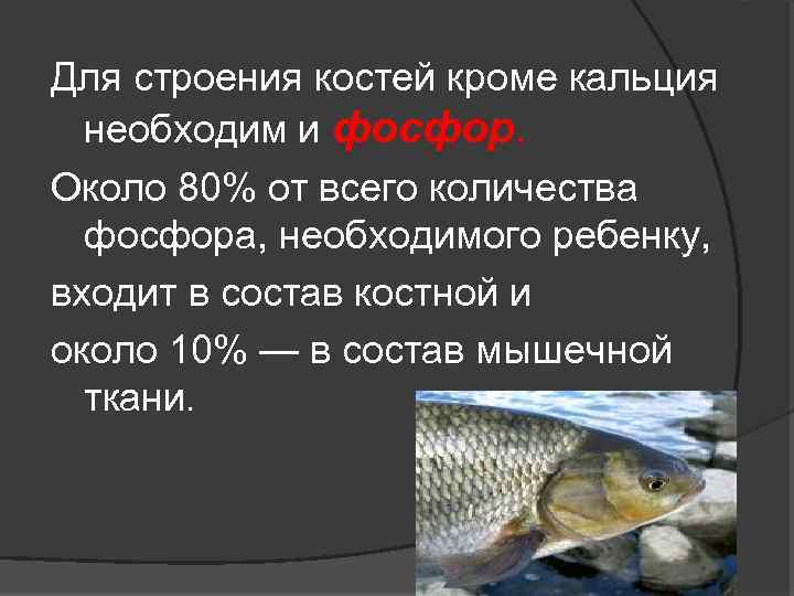 Для строения костей кроме кальция необходим и фосфор. Около 80% от всего количества фосфора,