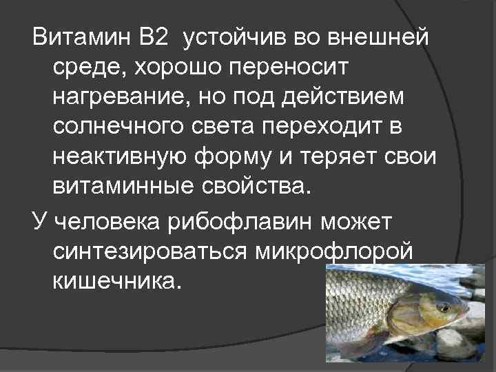 Витамин В 2 устойчив во внешней среде, хорошо переносит нагревание, но под действием солнечного